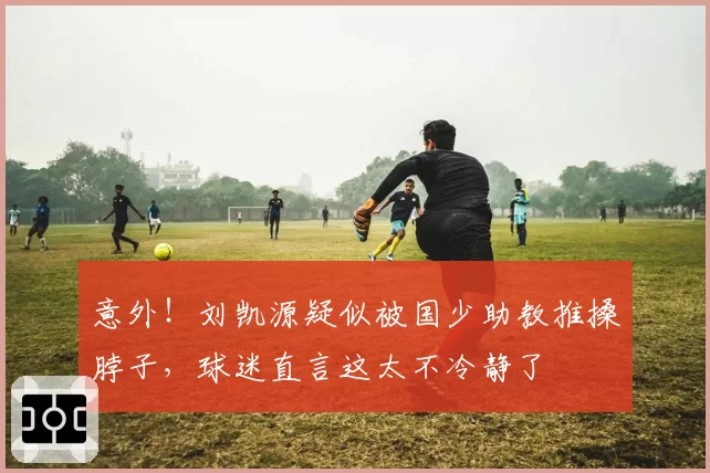 意外！刘凯源疑似被国少助教推搡脖子，球迷直言这太不冷静了