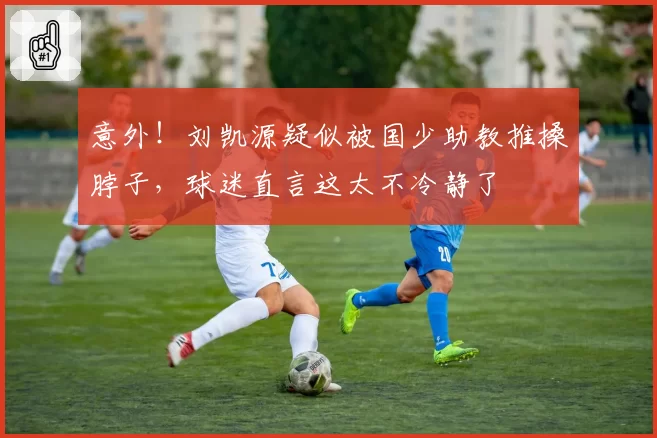 意外！刘凯源疑似被国少助教推搡脖子，球迷直言这太不冷静了