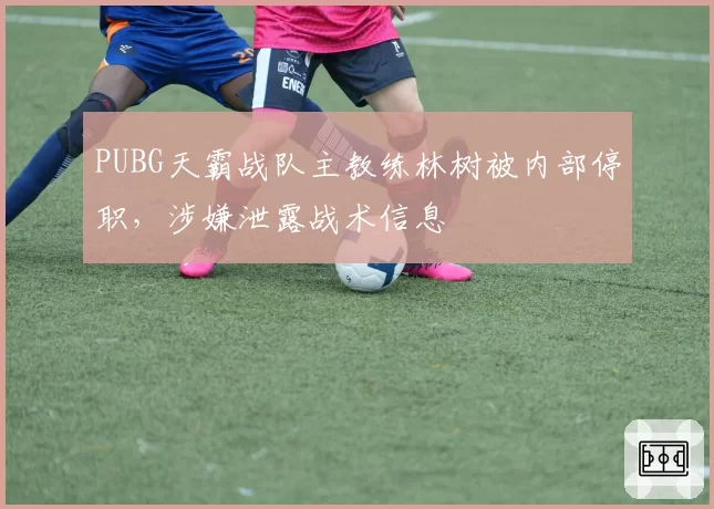 PUBG天霸战队主教练林树被内部停职，涉嫌泄露战术信息