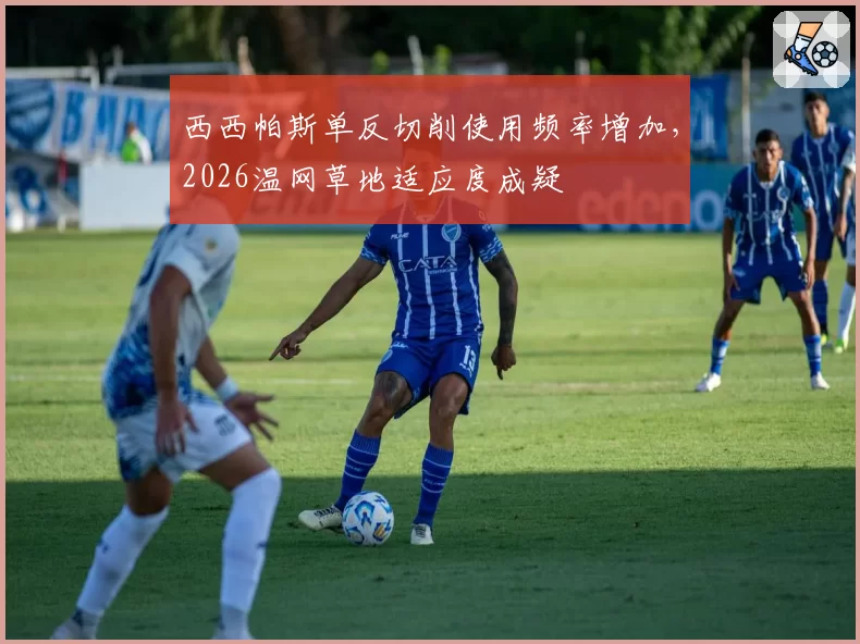 西西帕斯单反切削使用频率增加,2026温网草地适应度成疑